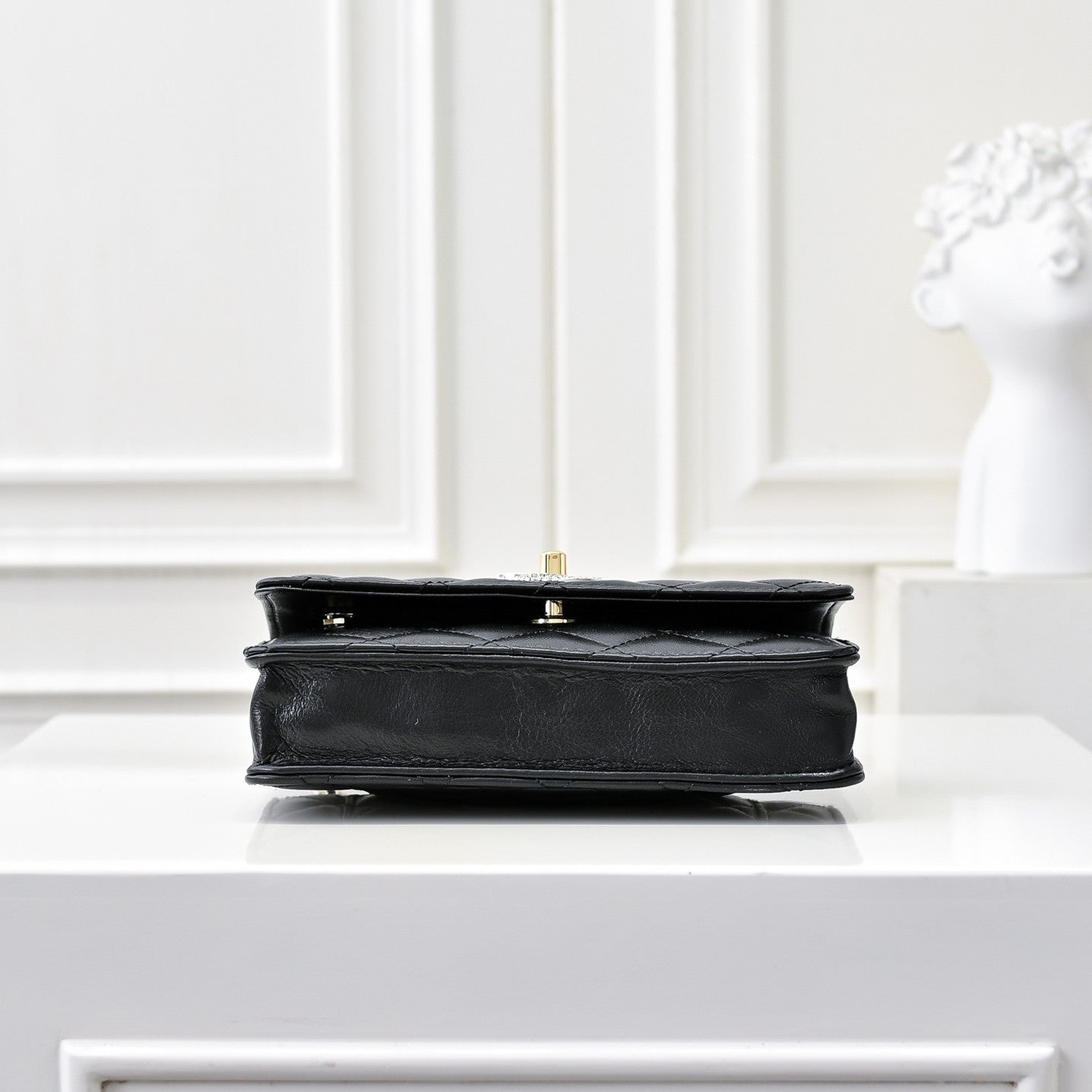 New luxury fashion Trend WoC Chain Shoulder&Handbag