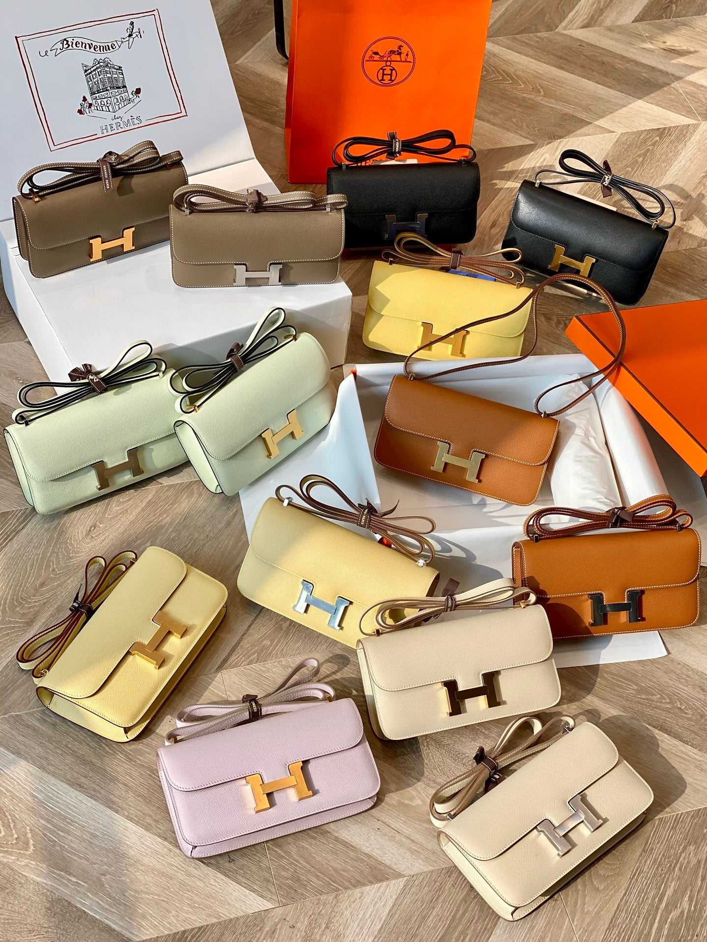 New luxury fashion Constance Elan  crossbody&shoulder bag
