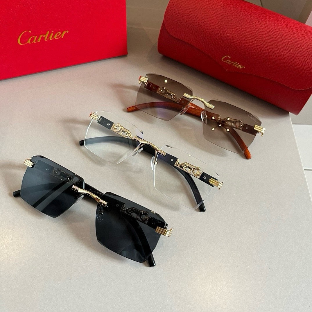 New fashion trend luxury  precious sunglasses