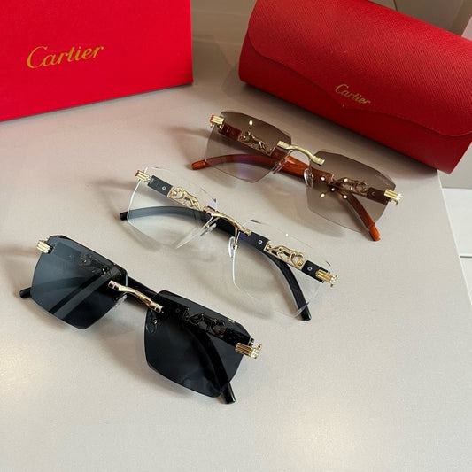 New fashion trend luxury  precious sunglasses