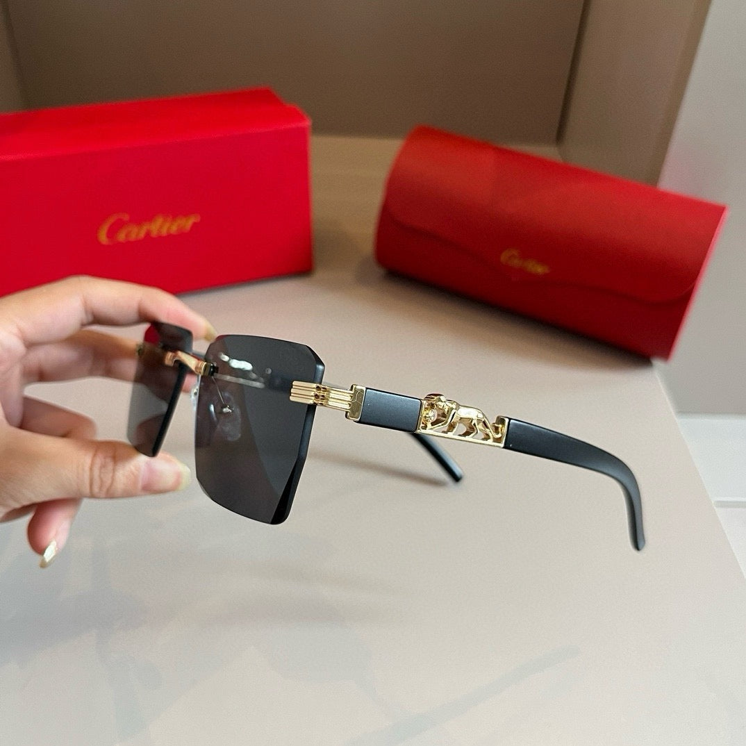 New fashion trend luxury  precious sunglasses
