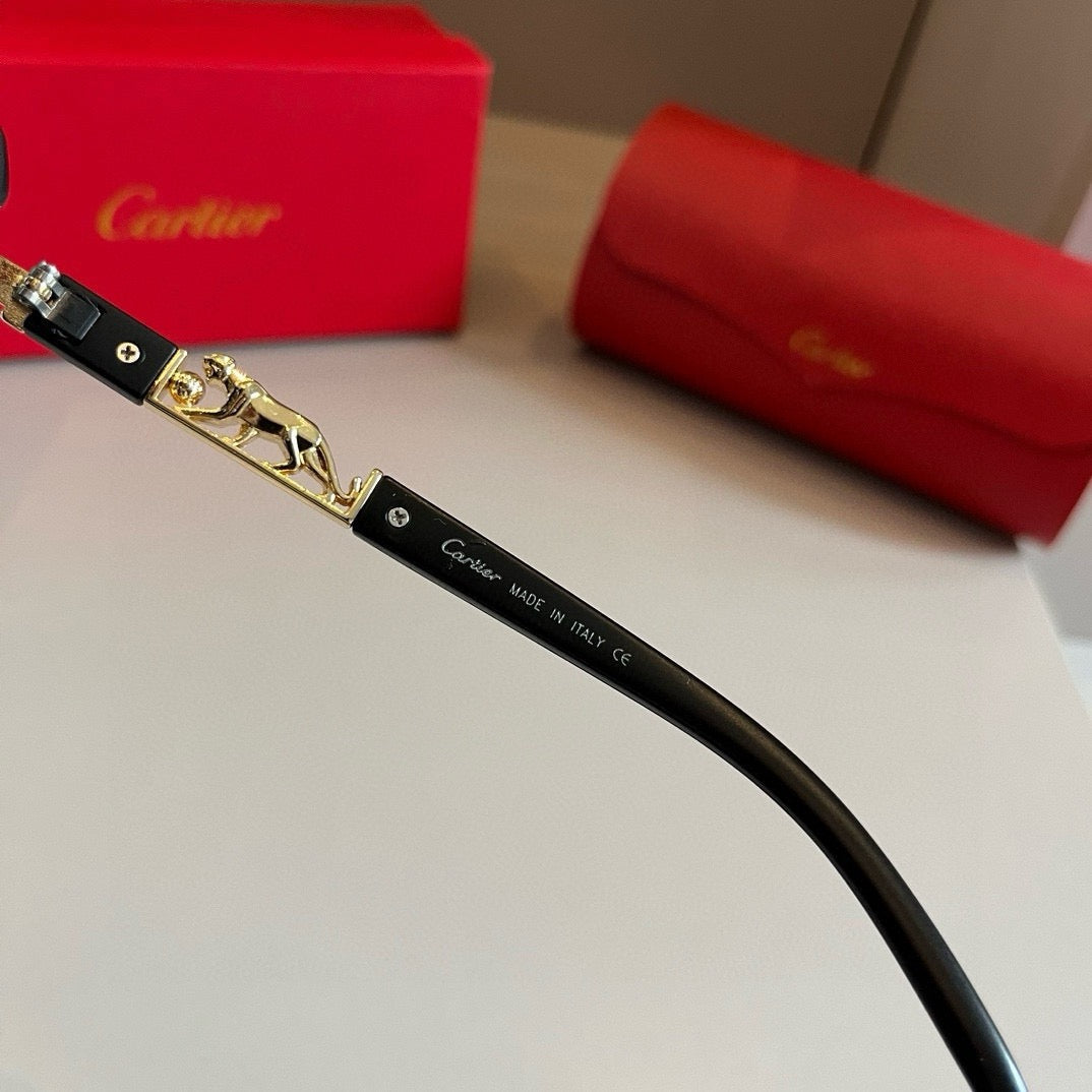 New fashion trend luxury  precious sunglasses