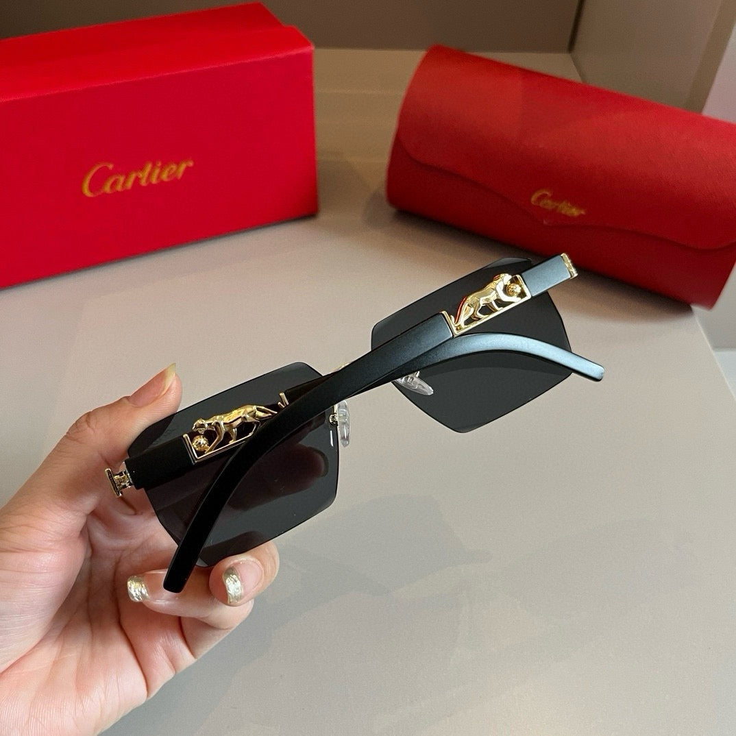 New fashion trend luxury  precious sunglasses