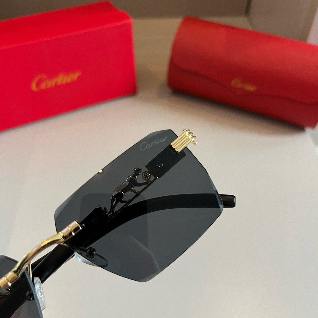 New fashion trend luxury  precious sunglasses
