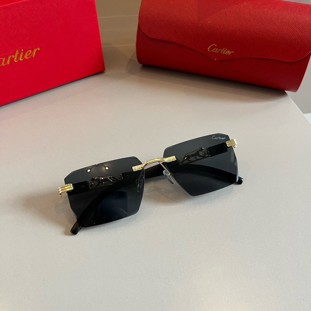 New fashion trend luxury  precious sunglasses