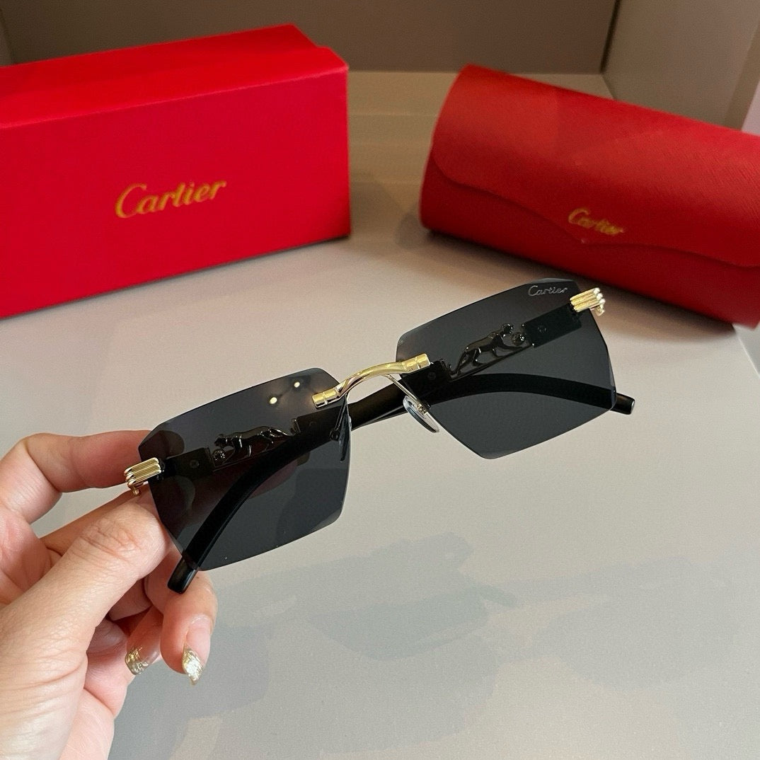 New fashion trend luxury  precious sunglasses