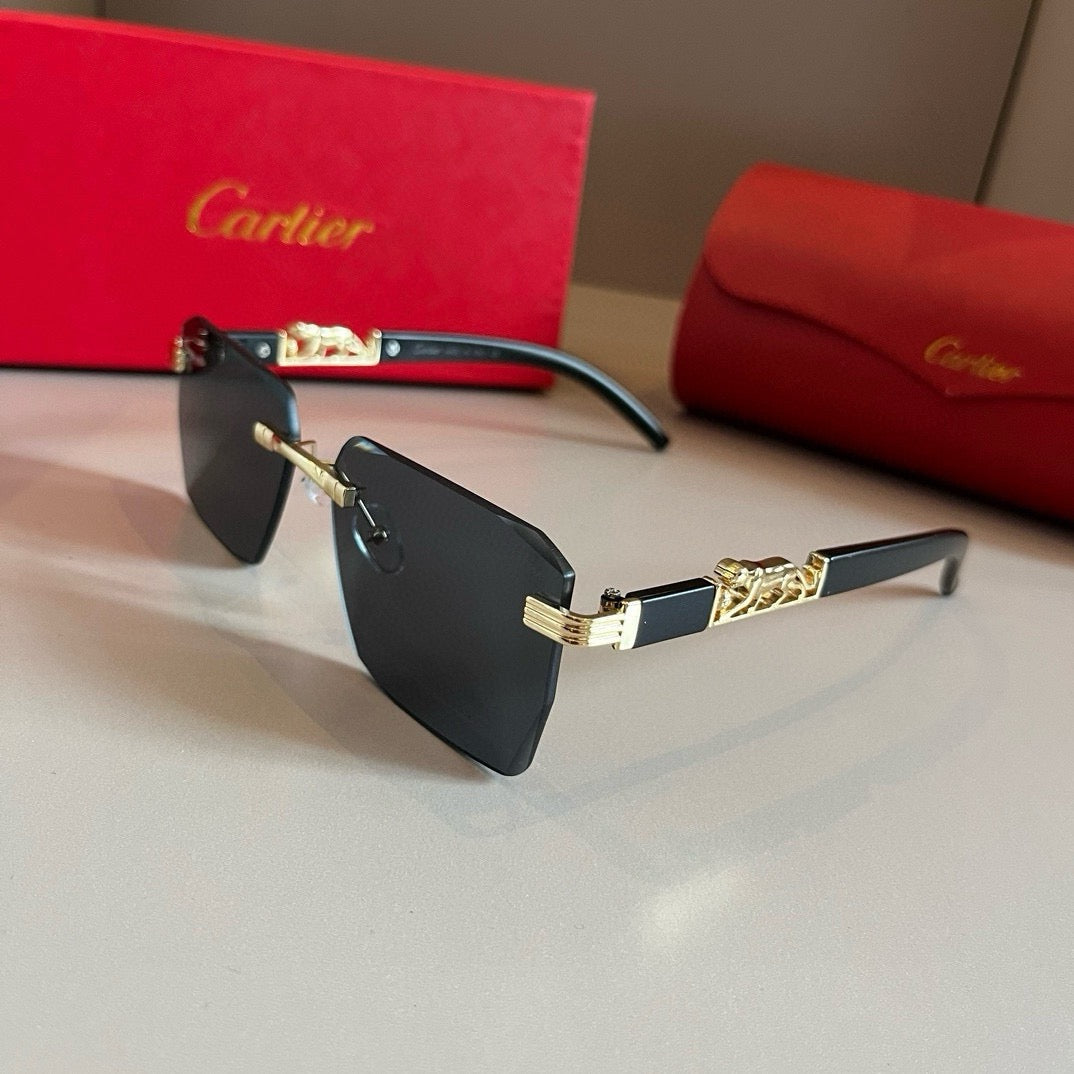 New fashion trend luxury  precious sunglasses
