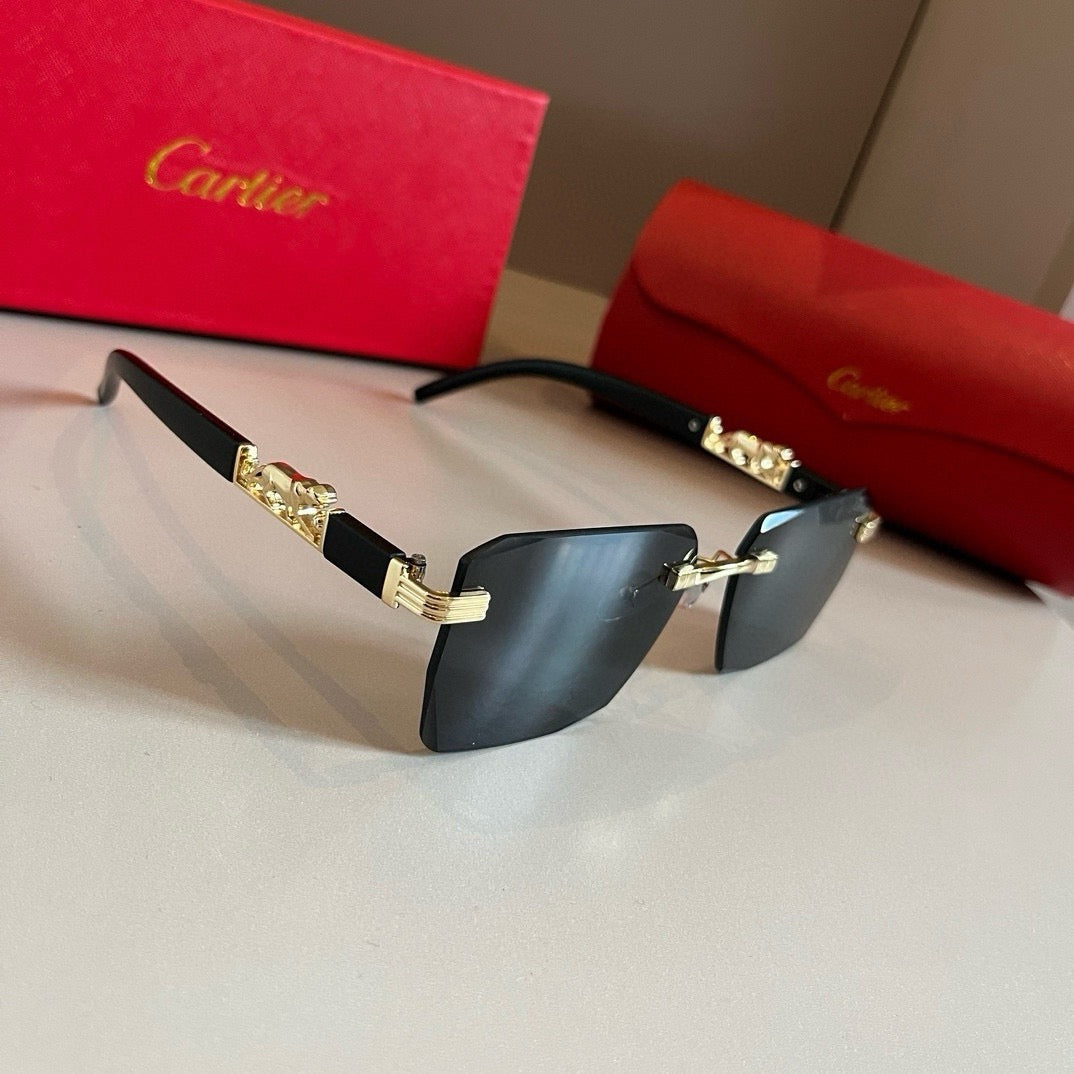 New fashion trend luxury  precious sunglasses