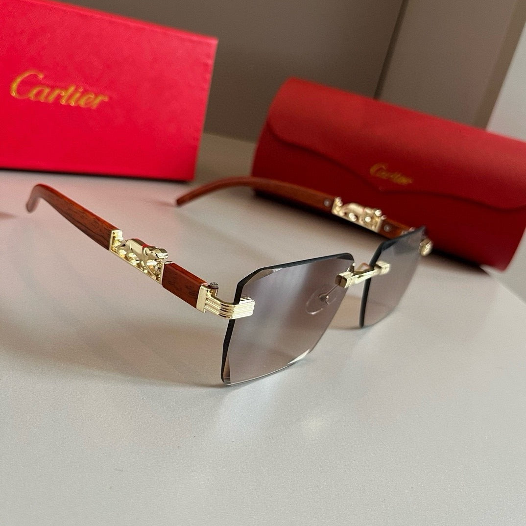 New fashion trend luxury  precious sunglasses