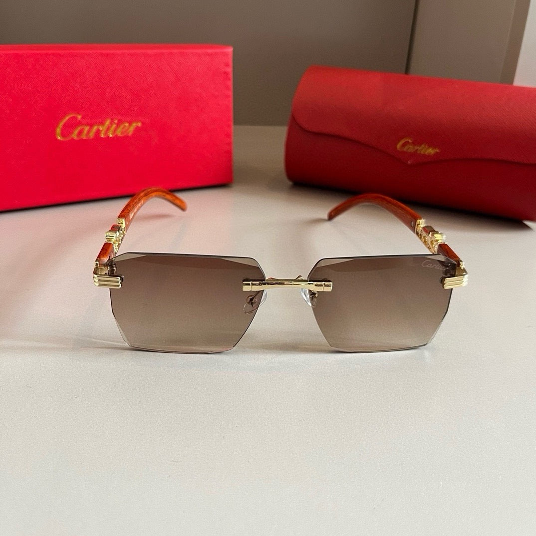 New fashion trend luxury  precious sunglasses