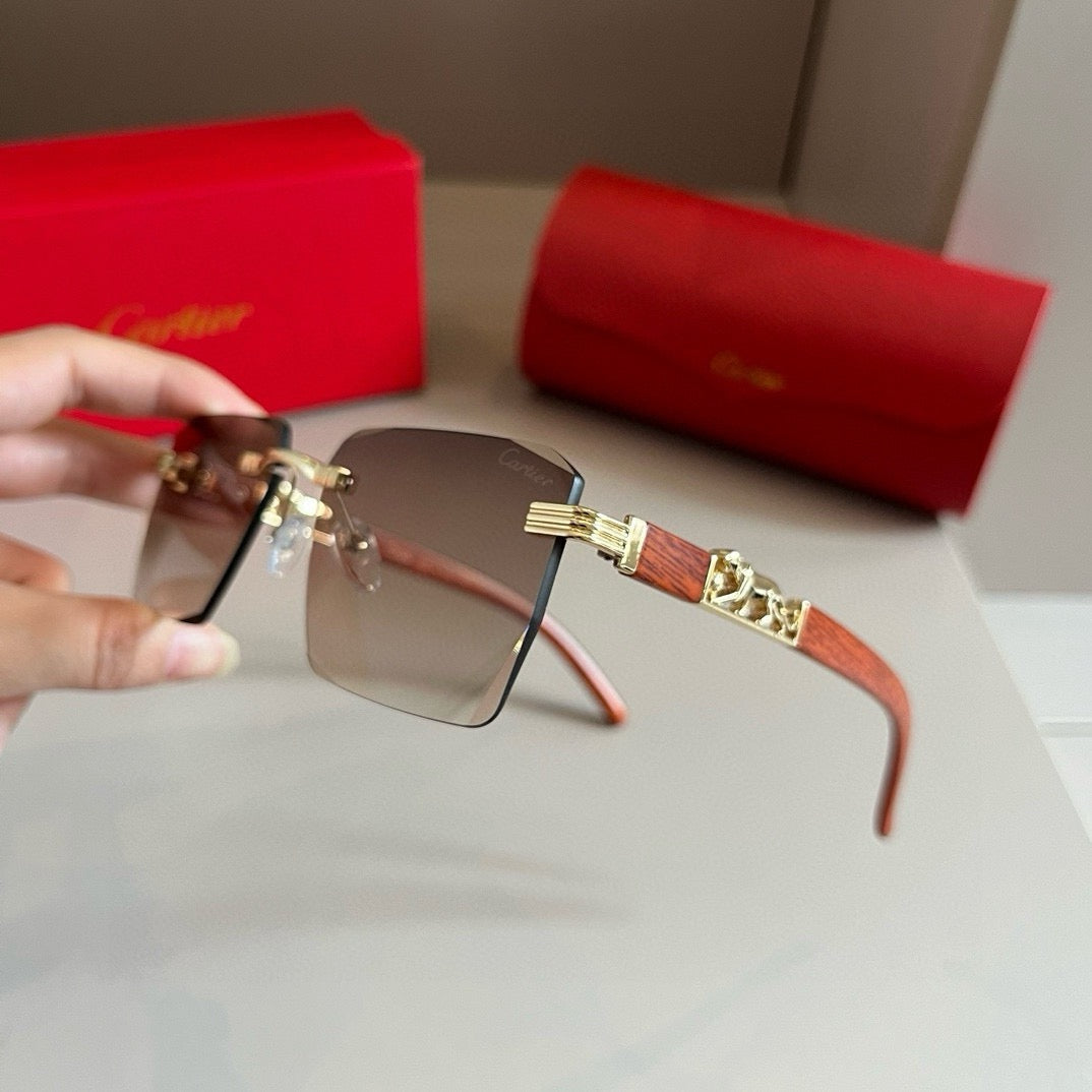 New fashion trend luxury  precious sunglasses