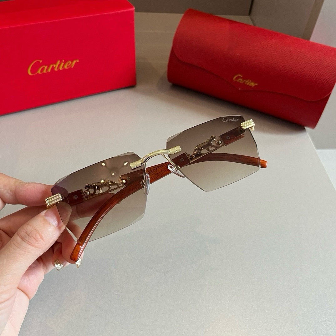New fashion trend luxury  precious sunglasses