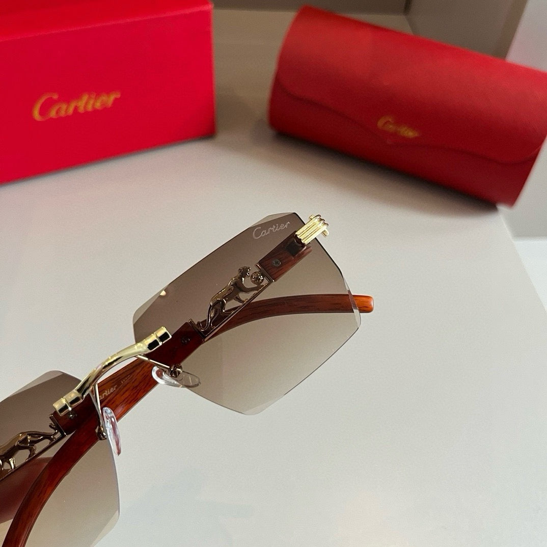 New fashion trend luxury  precious sunglasses