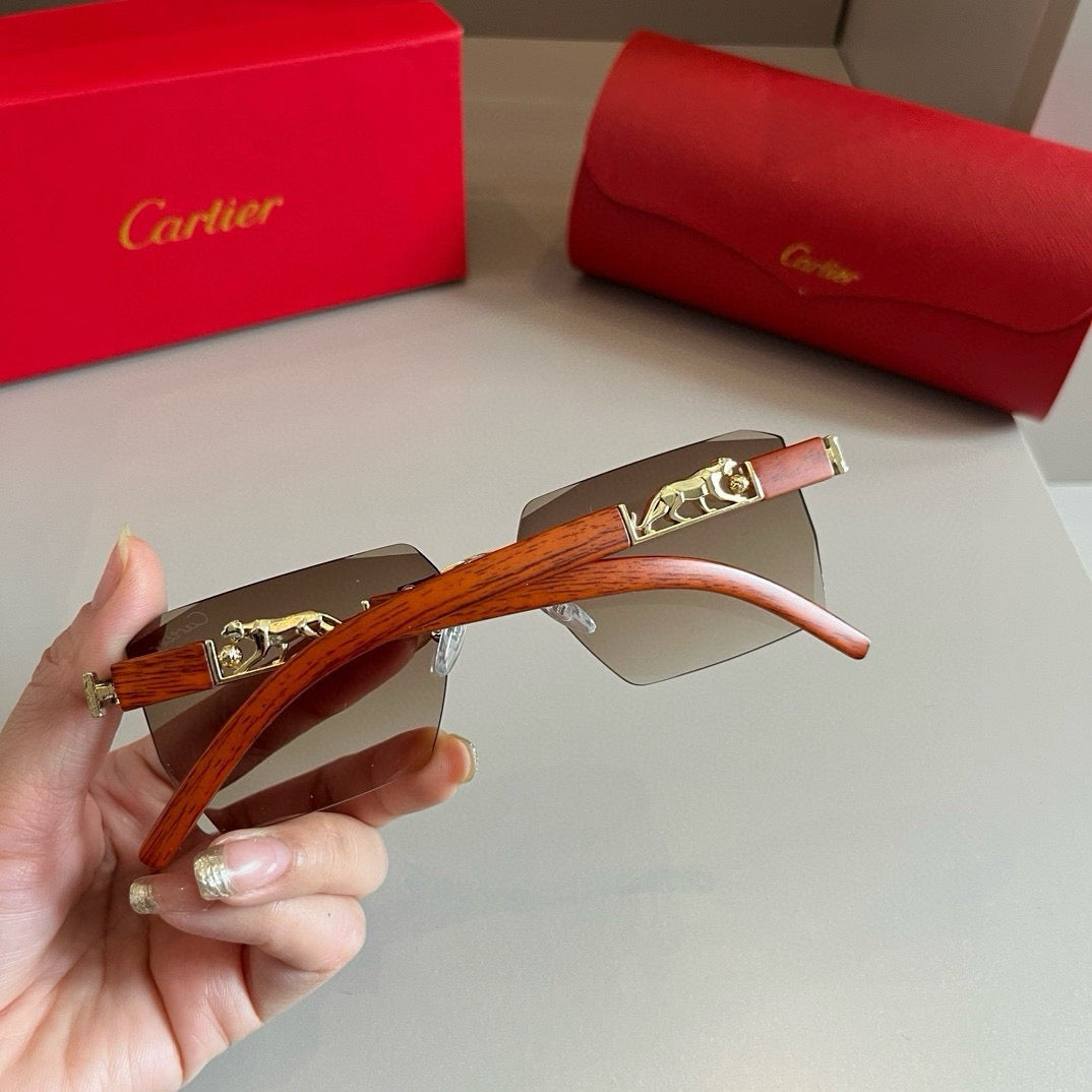 New fashion trend luxury  precious sunglasses