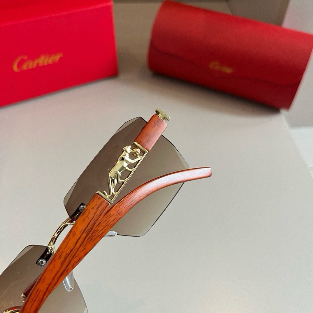 New fashion trend luxury  precious sunglasses