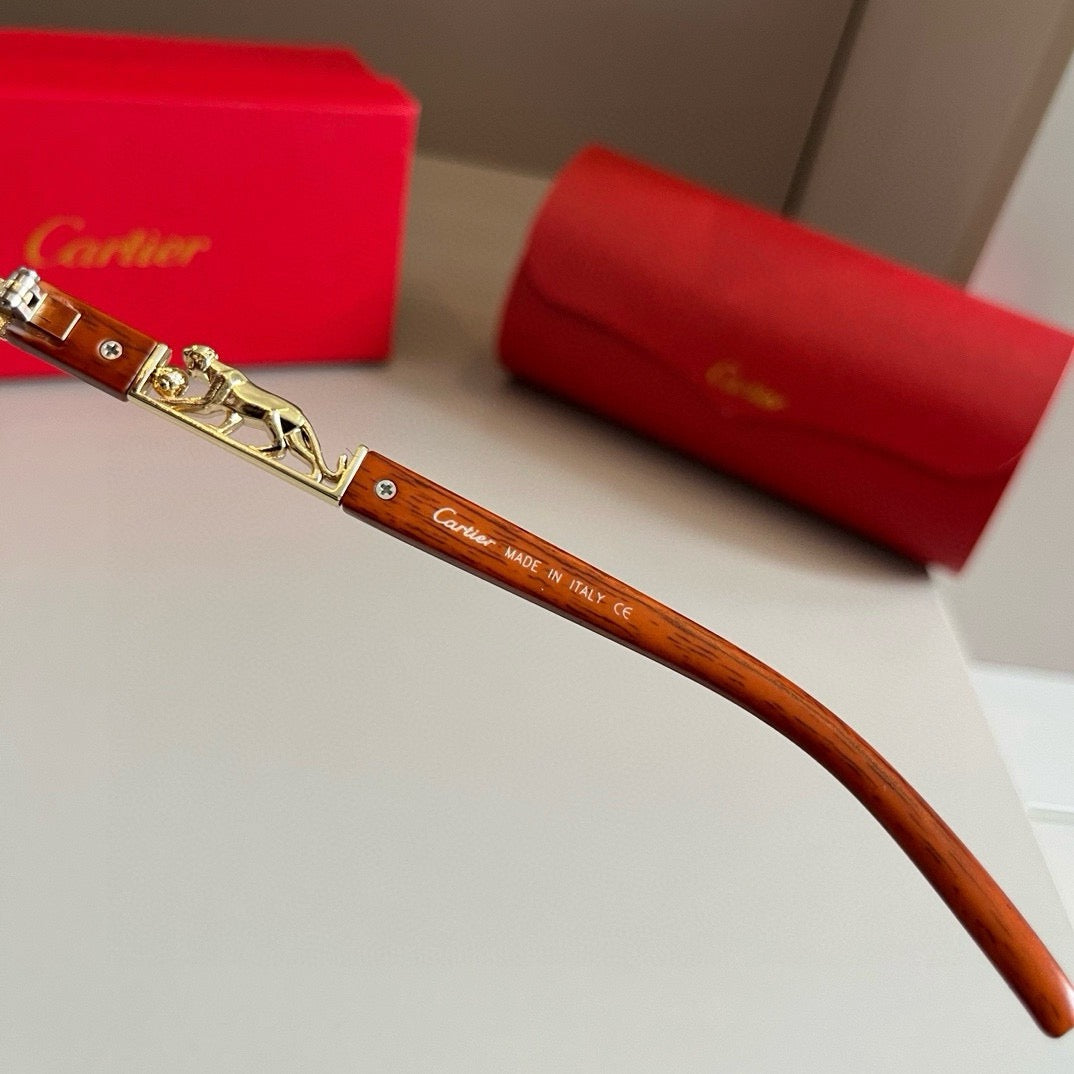 New fashion trend luxury  precious sunglasses