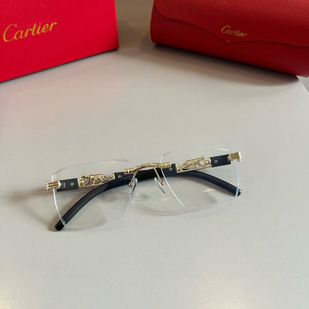 New fashion trend luxury  precious sunglasses
