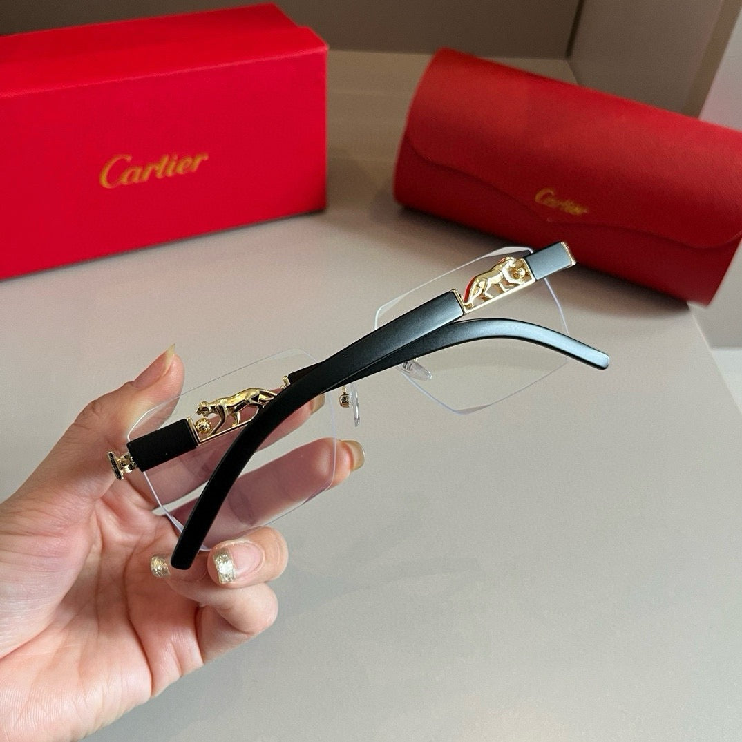 New fashion trend luxury  precious sunglasses