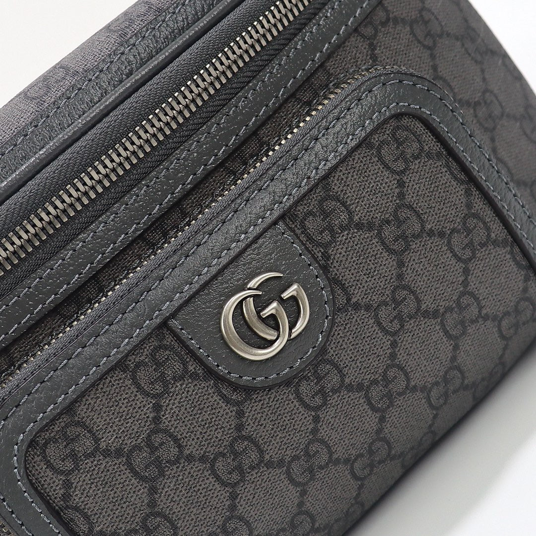 New luxury  fashion Ophidia waist bags