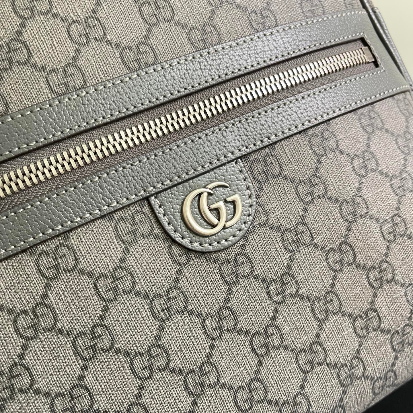 New luxury fashion Ophidia backpack bags