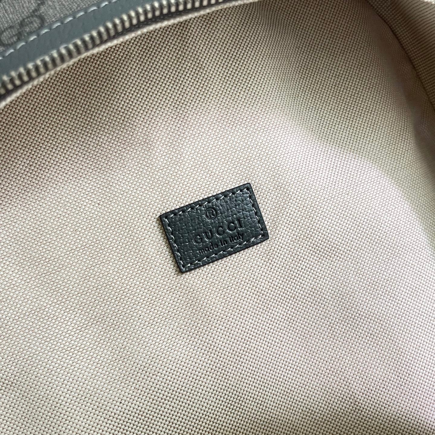 New luxury fashion Ophidia backpack bags